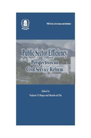 PUBLIC SECTOR EFFICIENCY: PERSPECTIVES ON CIVIL SERVICES REDORM