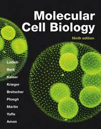 MOLECULAR CELL BIOLOGY 9TH ED