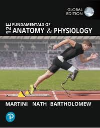 FUNDAMENTALS OF ANATOMY & PHYSIOLOGY 12TH GLOBAL ED